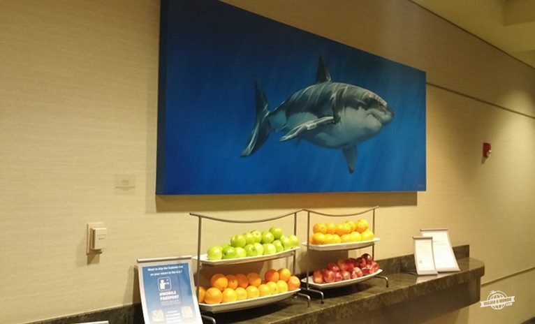 Bancadinha com frutas no Admirals Club D-30 Miami