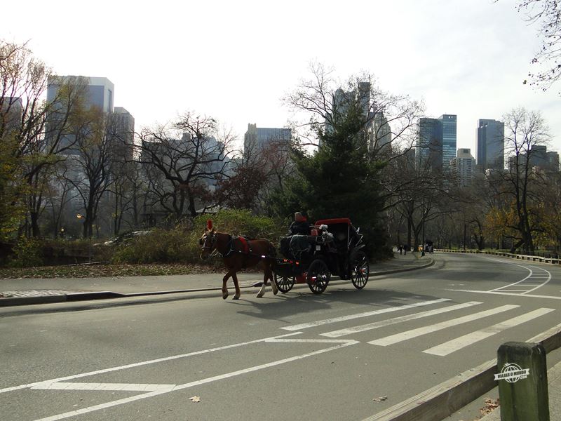 Passeio de carruagem pelo Central Park