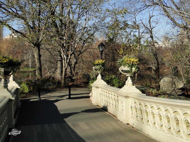 Bow Bridge - Central Park