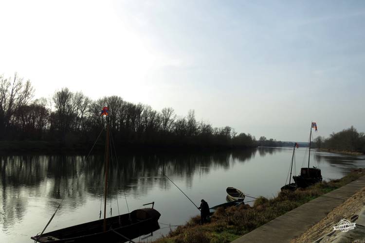 Loire - Chouzé-sur-Loire