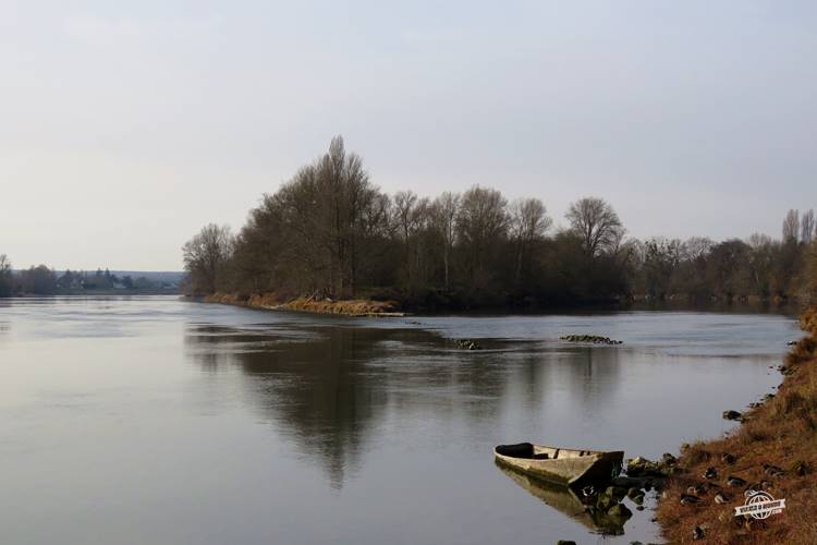 Loire - Chouzé-sur-Loire