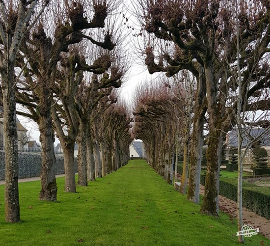 Jardins do Château de Villandry