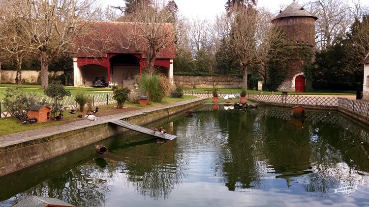 Jardins - Château de Chenonceau