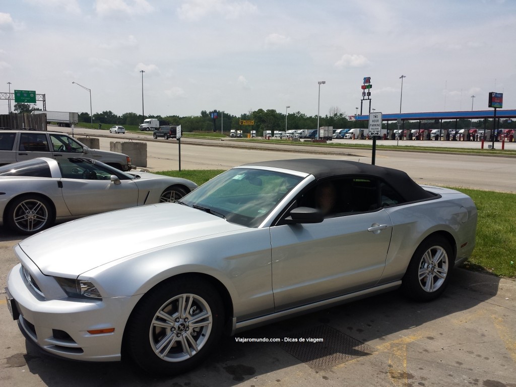 Mustang bem acompanhado no estacionamento