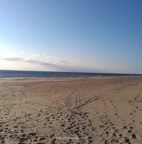 Dewey Beach