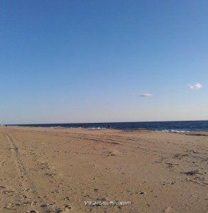 Dewey Beach