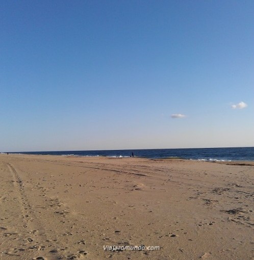 Dewey Beach