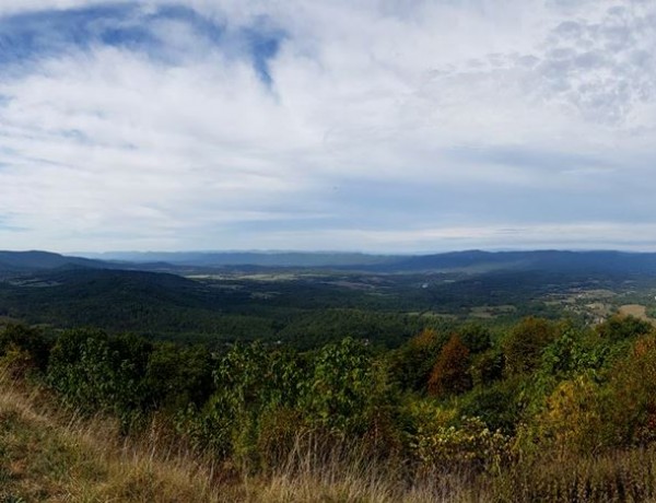Ursos negros perto de Washington? Conheça o Parque Nacional de Shenandoah!
