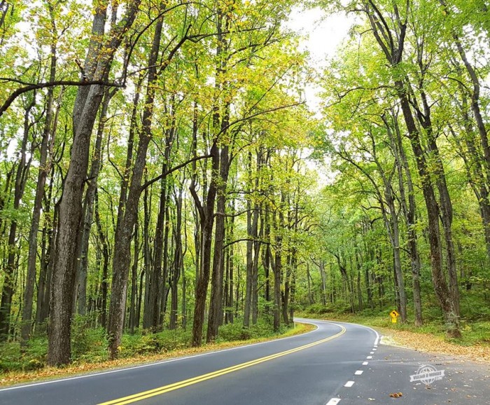 171005_Shenandoah_Viajaromundo (16)