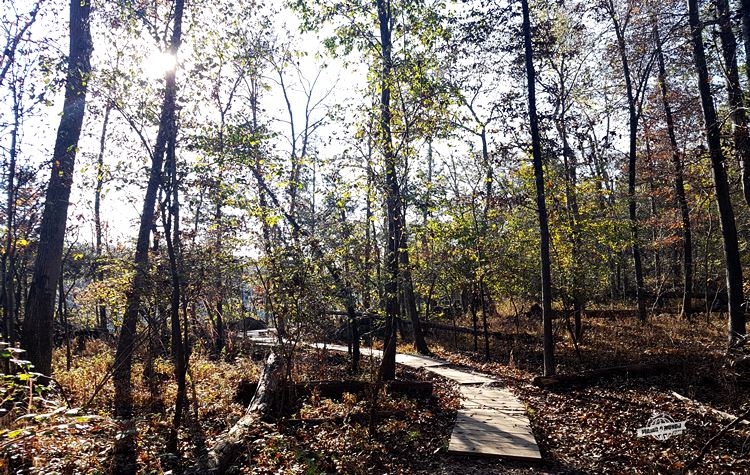 River Trail - Great Falls