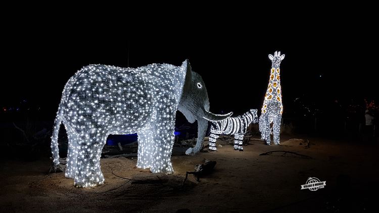 Iluminação de Natal - Dallas Zoo