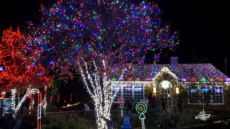 Iluminação de Natal - Dallas Zoo