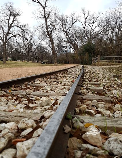 Zilker Park