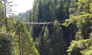 Conheça o Capilano Suspension Bridge Park