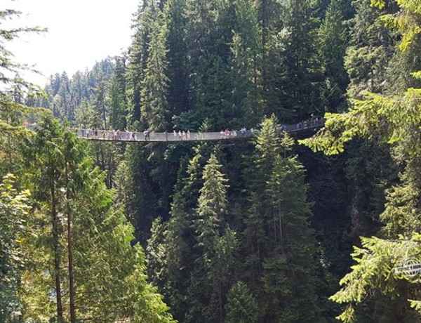 Conheça o Capilano Suspension Bridge Park