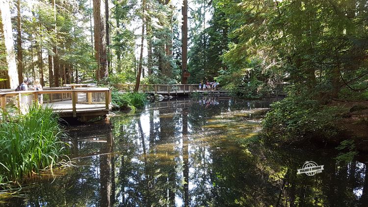 Capilano Suspension Bridge Park. Blog Viajar o Mundo