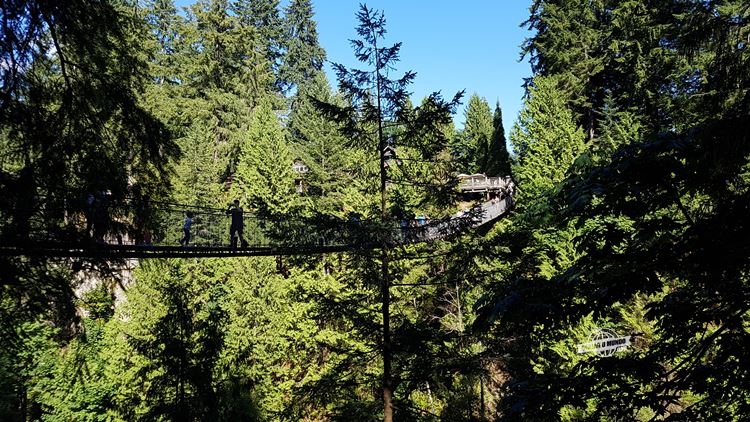 Ponte Suspensa vista do Nature's Edge. Blog Viajar o Mundo